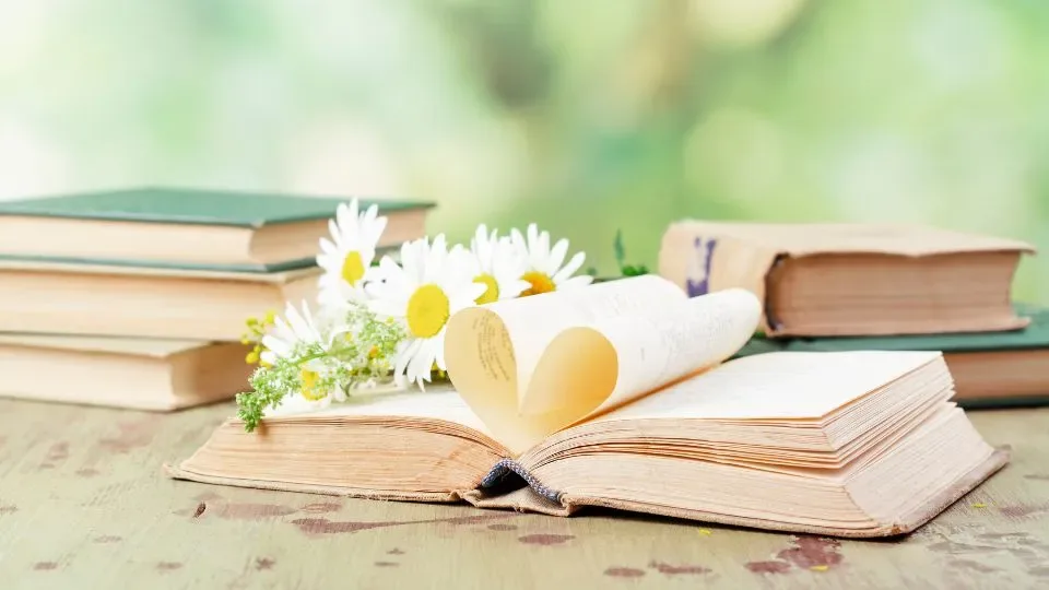 Bibliothèque des amoureux - photo d'un livre avec pages recourbées en coeur
